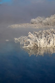 Winter landscape