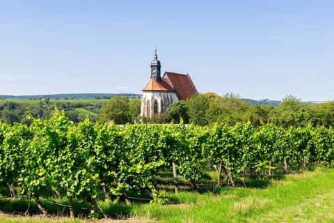 Pilgrimage church Maria im Weingarten