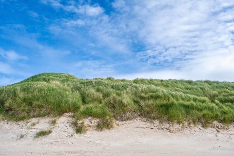 Dunes with dune grass on the sandy beach of Balnakeil Beach in the Northern Highlands