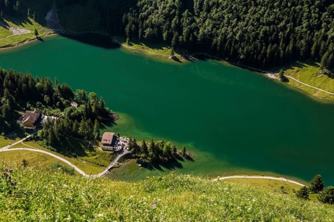 Mountain lake
