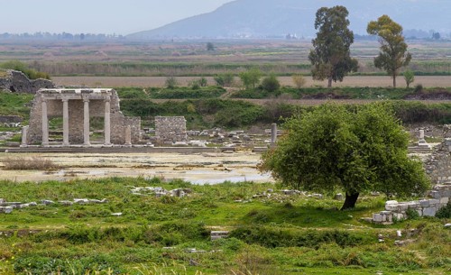 Miletus Ruin Field