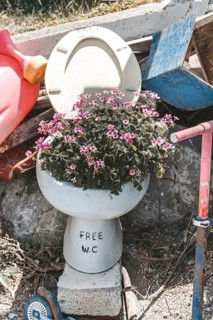 Toilet decorated with flowers