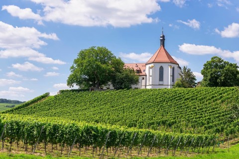 Monastery Church of the Protection of the Virgin Mary