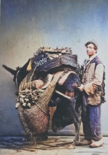 Farmer bringing his harvest to market on a fully loaded donkey