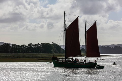 Parade of old sailboats in the Rade de Brest
