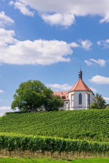 Monastery Church of the Protection of the Virgin Mary