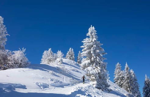 Deep snowy winter landscape on the Zwoelferhorn with ski tourers