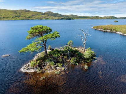Aerial view of the freshwater loch Loch Assynt with a small island of trees