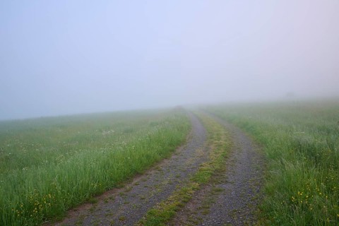 Path