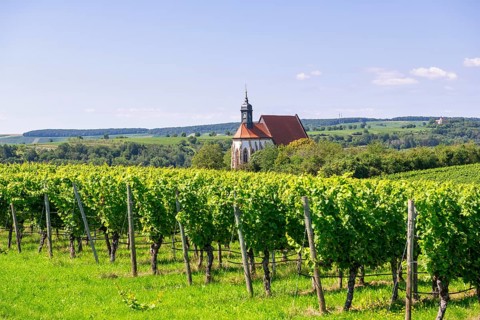 Pilgrimage church Maria im Weingarten