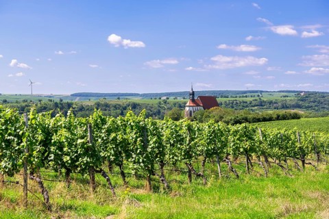 Pilgrimage church Maria im Weingarten