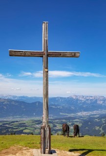 Herd of horses at the summit cross on the Trattberg with a view into the Salzach Valley