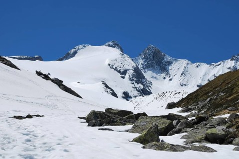 Reichenspitze and Gabler above Wildgerloskees glacier in spring with ski tracks