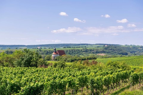 Pilgrimage church Maria im Weingarten