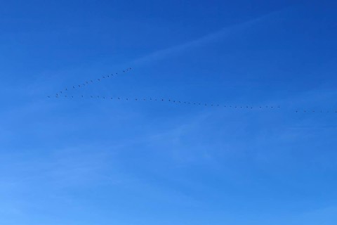 Blue sky with cirrostratus clouds