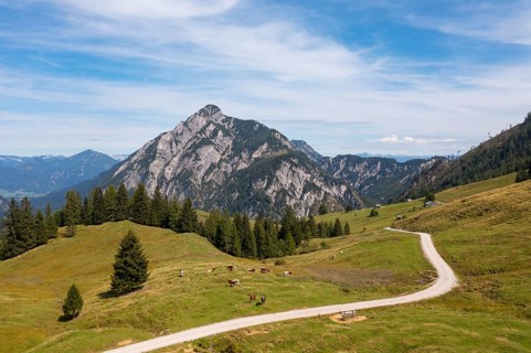 Alpine pasture area on the Postalm with Rinnkogel