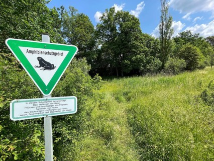Amphibian sanctuary
