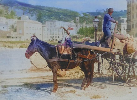 Peasant with a horse cart