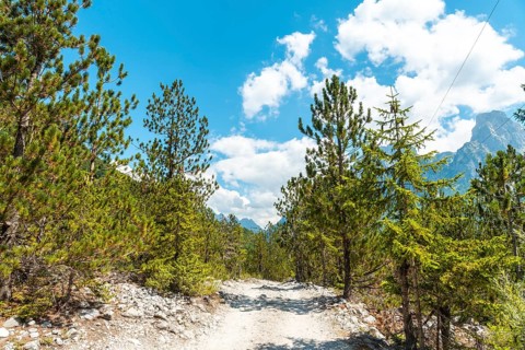 Trail in the Valbona valley trekking to Theth