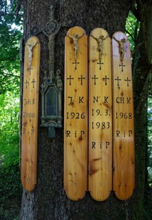 Dead boards at the Kreuzfichte