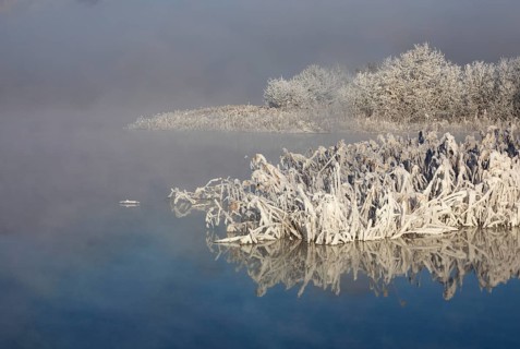 Winter landscape