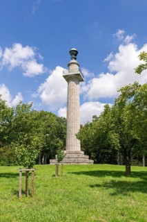Constitutional column