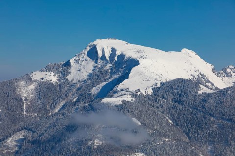 Winter landscape