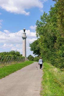 Constitution column