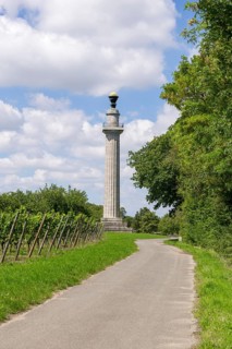 Constitution Column
