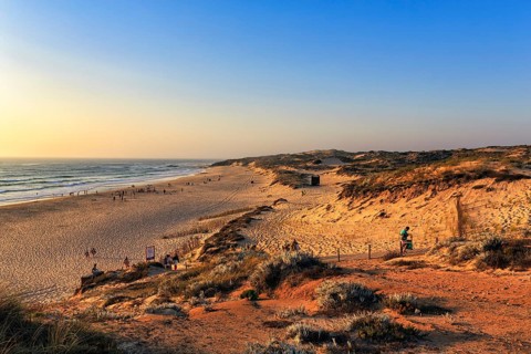 Coastline with dunes and beach