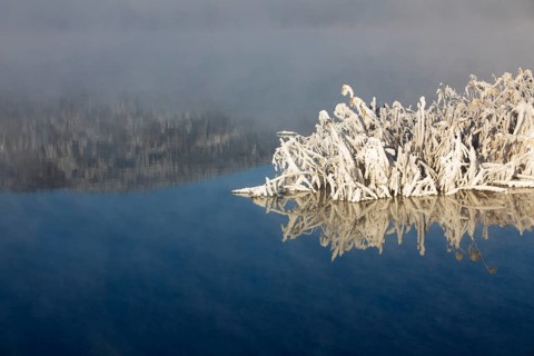 Winter landscape