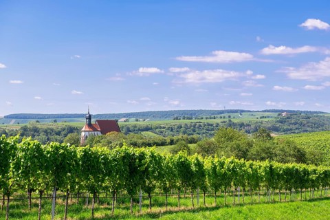 Pilgrimage church Maria im Weingarten