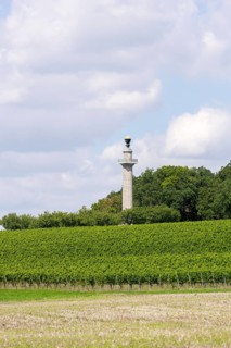 Constitution Column