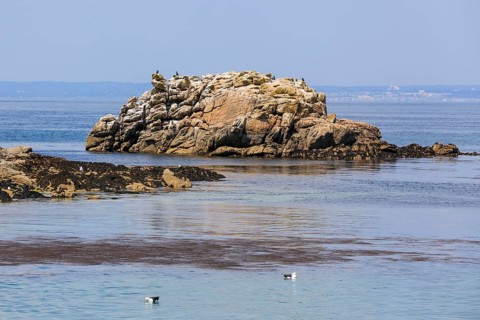 Small rocky island