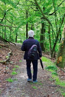 Kellerwald-Edersee National Park in late summer