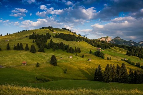 Alpine huts