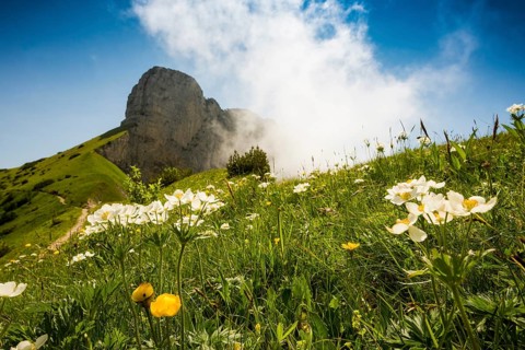 Steep mountains and clouds and flower meadow