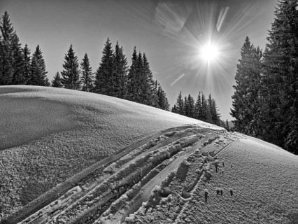 Trace of skis in front of trees