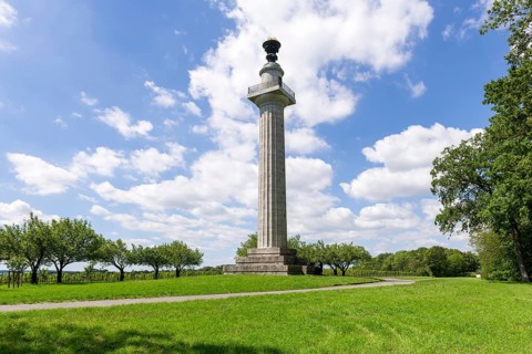 Constitution column