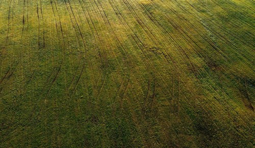Drone image
