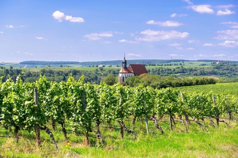 Pilgrimage church Maria im Weingarten