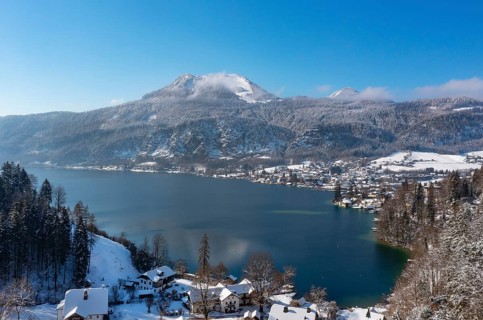 Winter landscape
