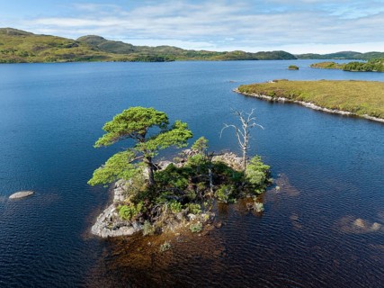 Aerial view of the freshwater loch Loch Assynt with a small island of trees