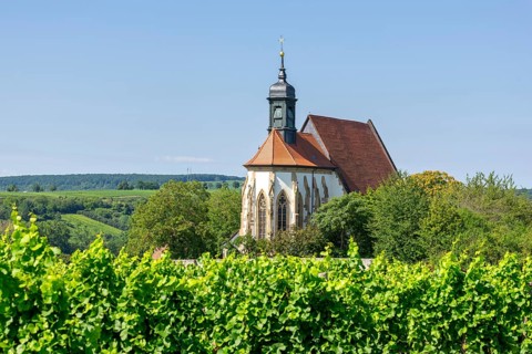 Pilgrimage church Maria im Weingarten