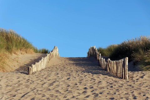 Path through dunes