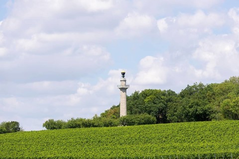 Constitution Column