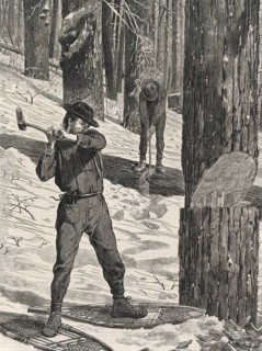 Woodcutter working in the forest in winter