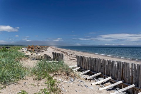 Palisades on a beach