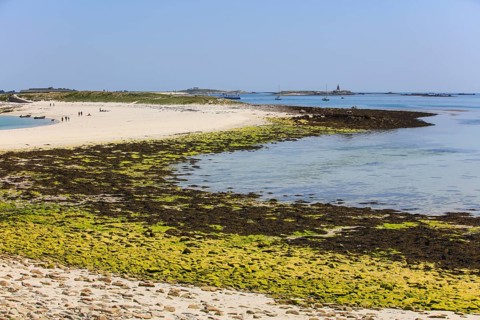 Sandy beach beach