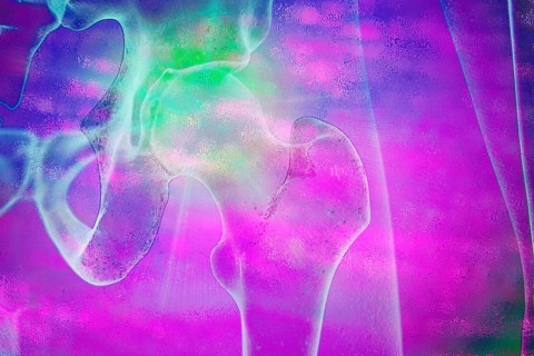 The hip joint is a so-called ball and socket joint because it is round and